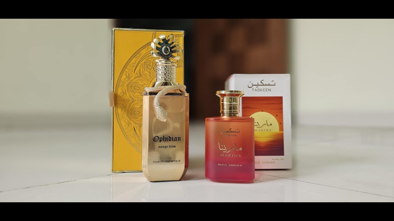 Paris Corner Mango Bliss & Marina Review (2024)