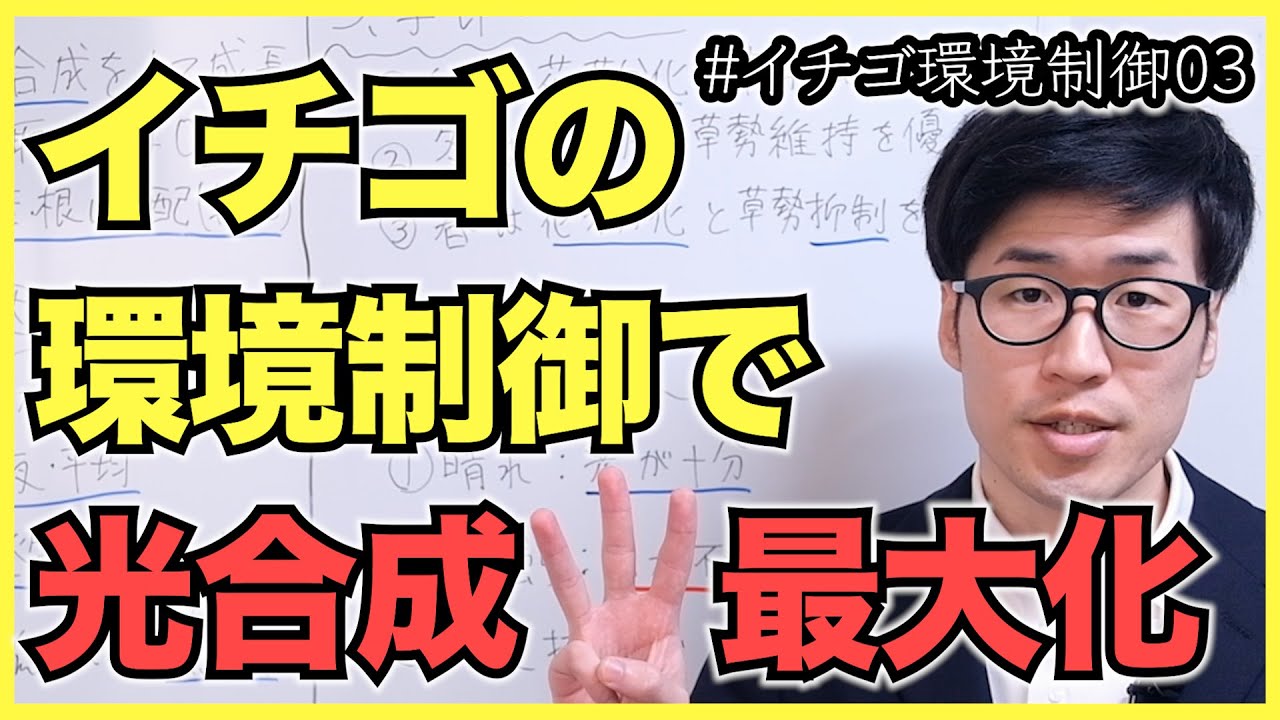 イチゴの環境制御で光合成を最大化し収量増加【いちご農園の環境制御03】