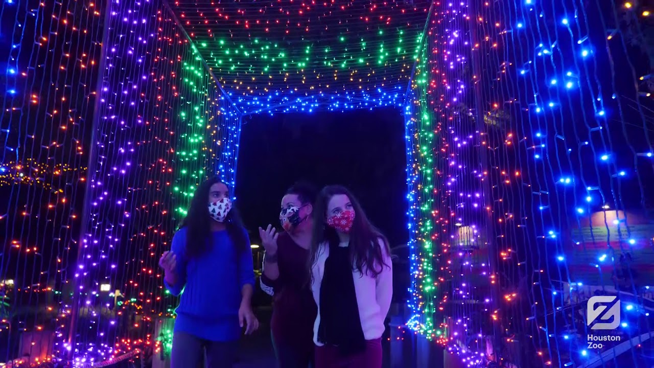 TXU Energy Presents Zoo Lights 2020