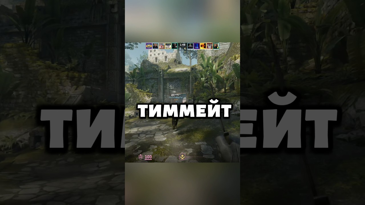 Шедевро-тиммейт!