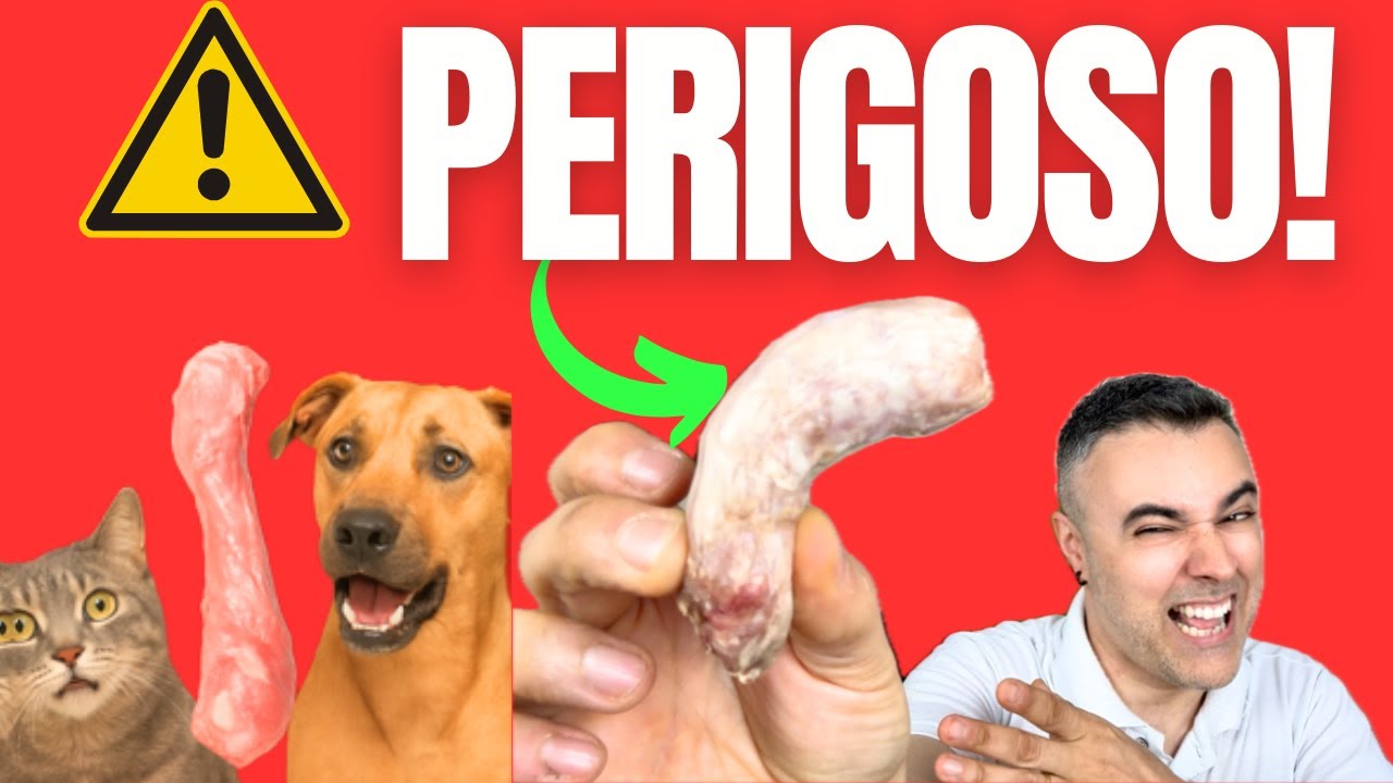 ❌NÃO DÊ ❌ PESCOÇO DE FRANGO para teu cão e teu gato assim!