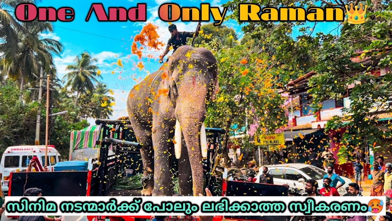 സിനിമ നടന്മാർക്ക് പോലും ലഭിക്കാത്ത സ്വീകരണം🥵 Kavilakkad Pooram 2025 | Thechikottukavu Ramachandran👑
