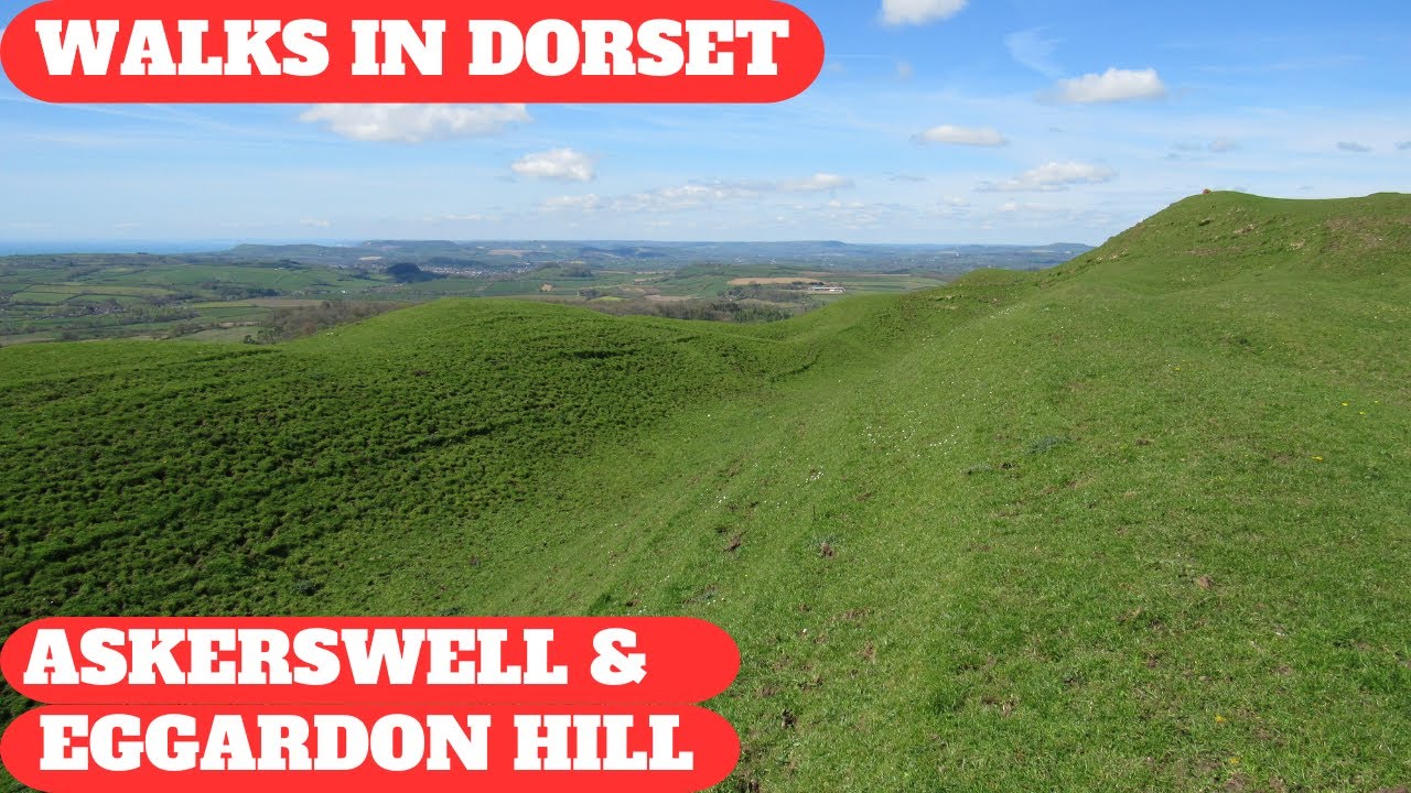 WALKS IN DORSET at ASKERSWELL & EGGARDON HILL (4K)