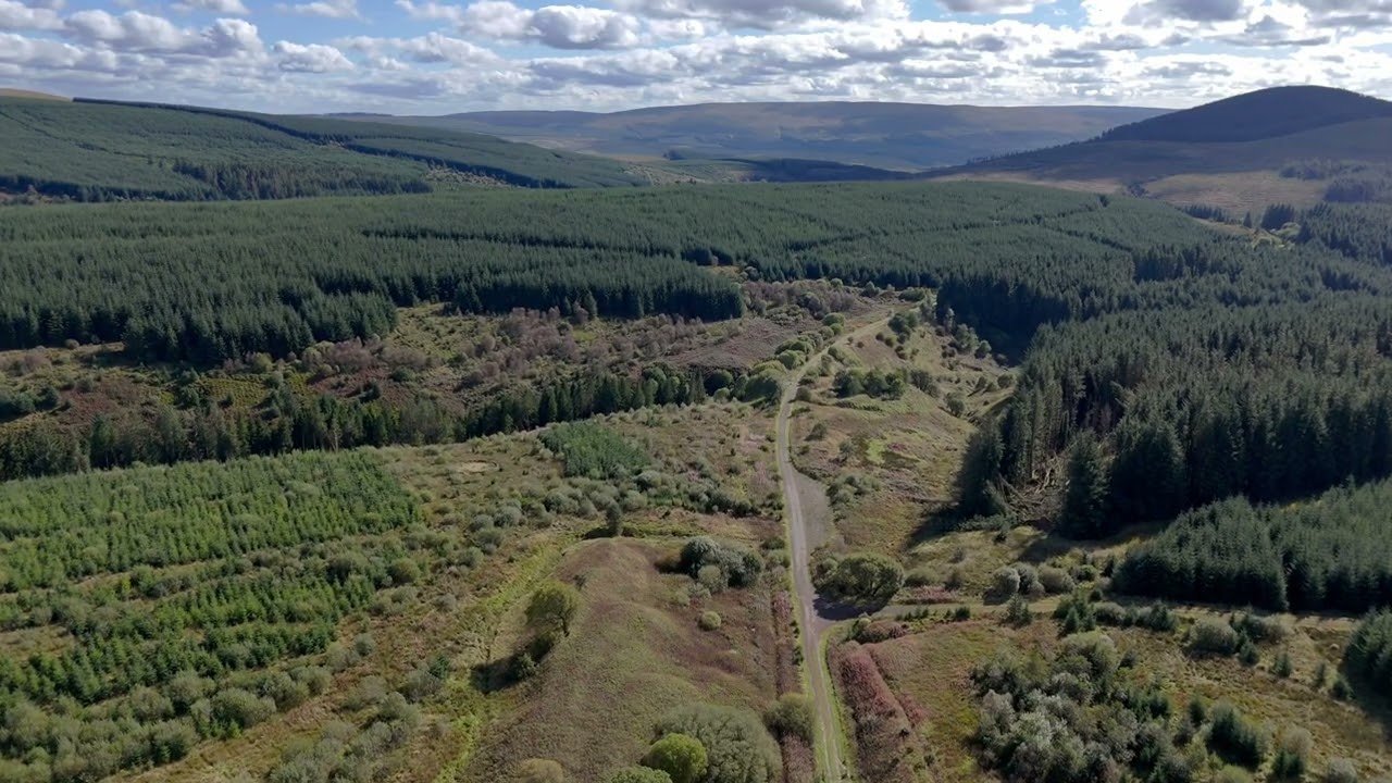 Southbound From Whitrope