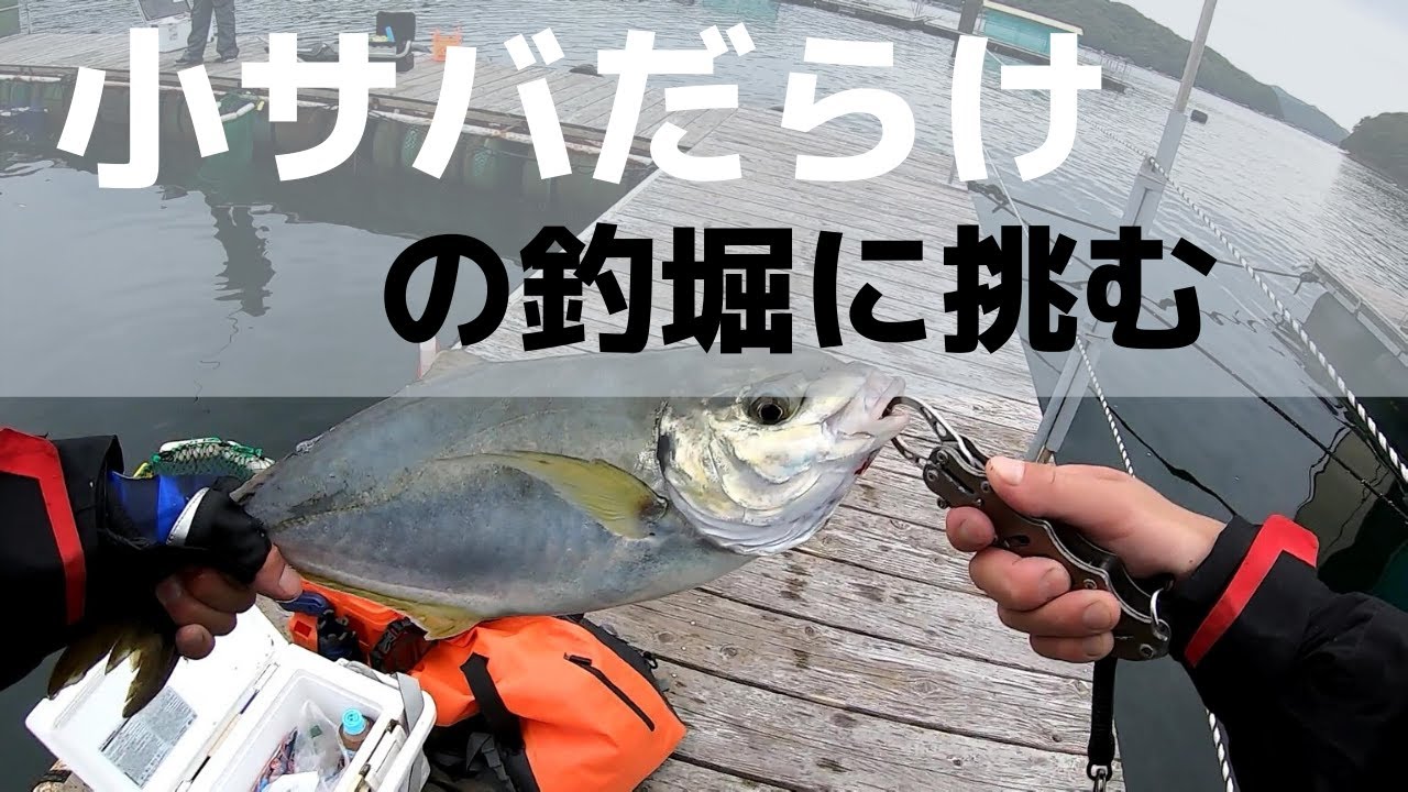 海上釣堀のエサ取り【小サバ】対策にあえて挑んだ結果