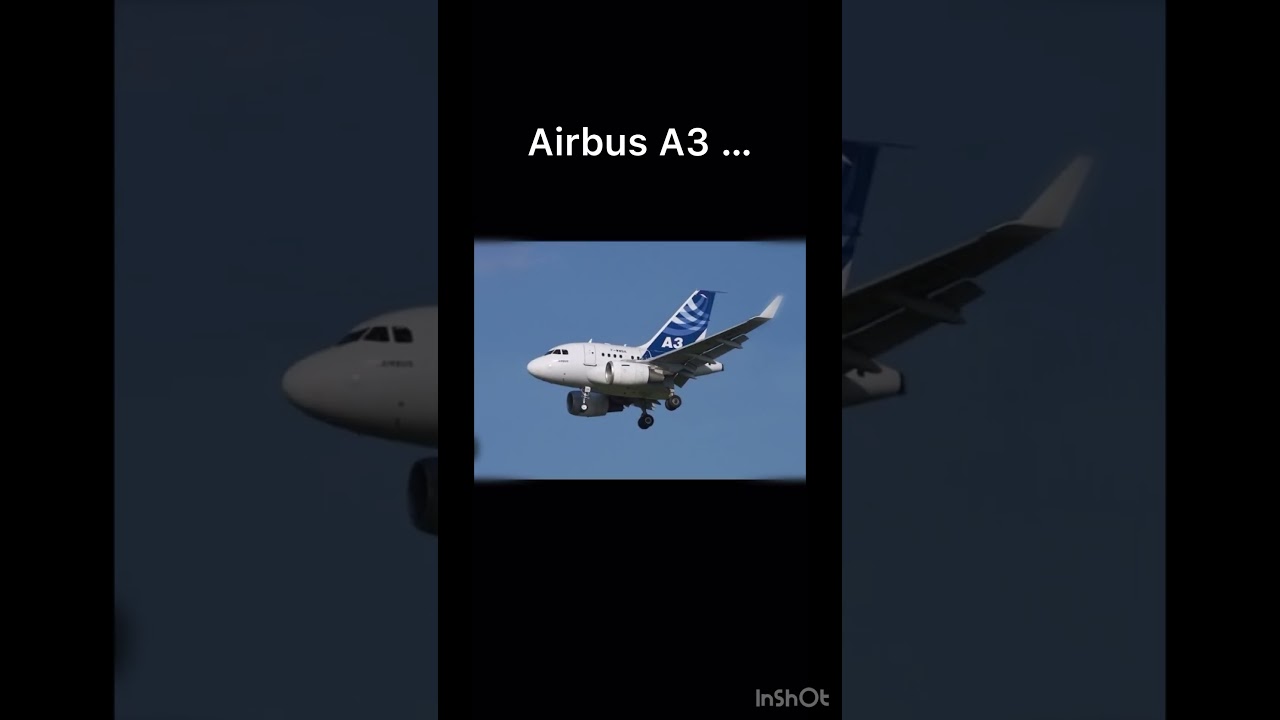 Airbus A318 or Airbus A3?