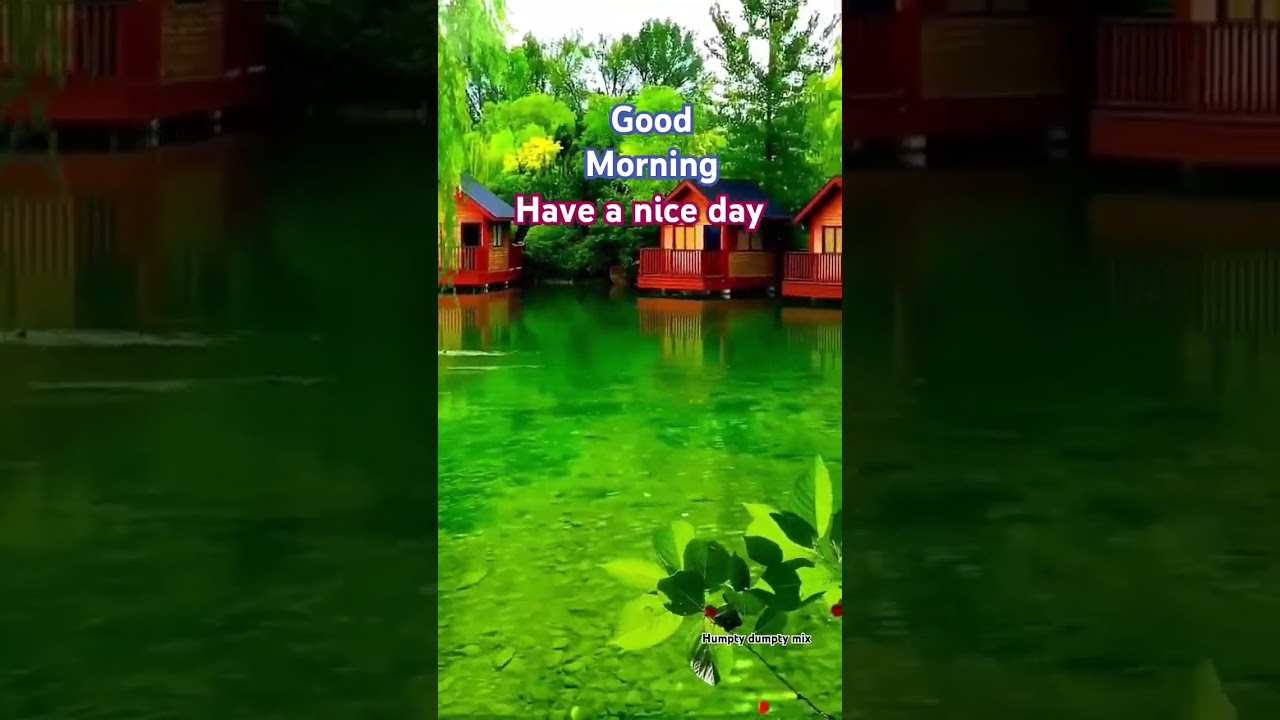 good morning #mindfreshsong #mindfreshmusic # nature #love #stressreleifmusic#shorts# ytshorts#art