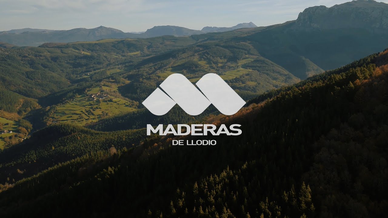 Maderas de Llodio, contrachapado a base de pino radiata europeo