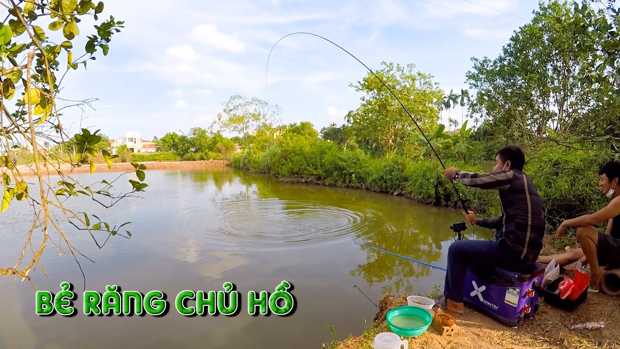 Vặt Răng Chủ Hồ Câu Minh Hiếu - Test Mồi Câu Cá Chép Dịch Vụ