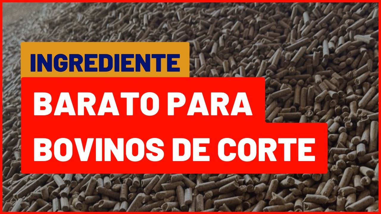 Como usar CASQUINHA DE SOJA NA FAZENDA