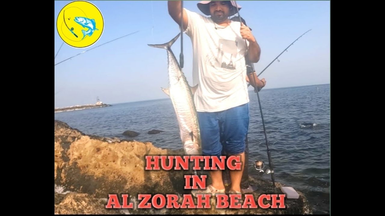 Hunting Kingfish In Al Zorah|| Jigging & Casting || Al Madina Marine Fishing✌️✌️