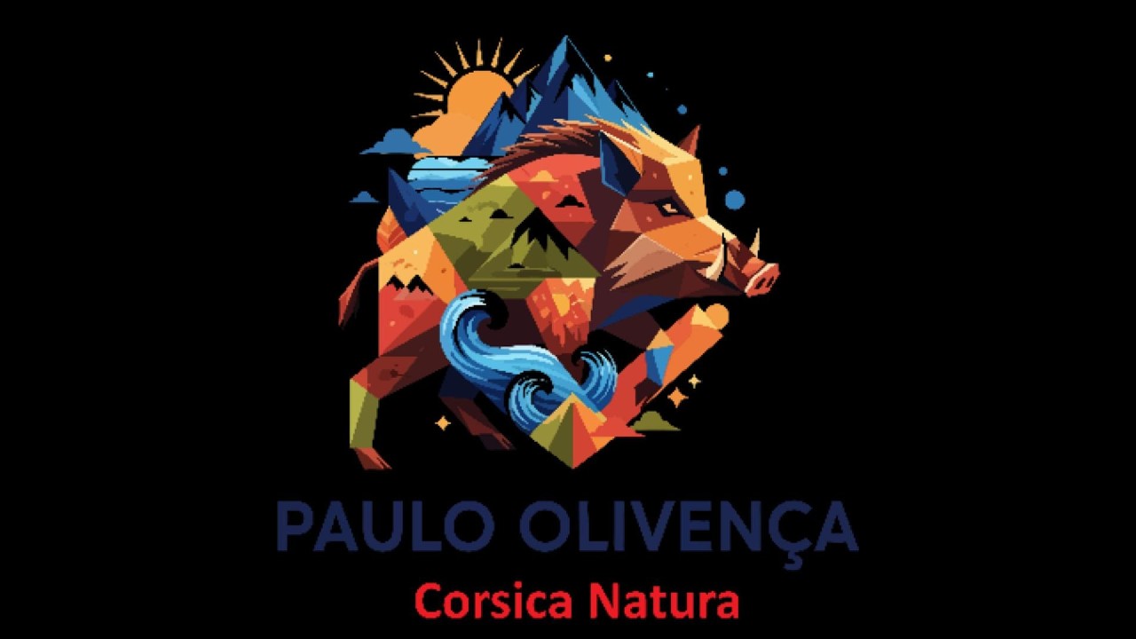 Ce lieu caché en Corse va vous surprendre 😍 Punta Capicciola – Porto-Vecchio