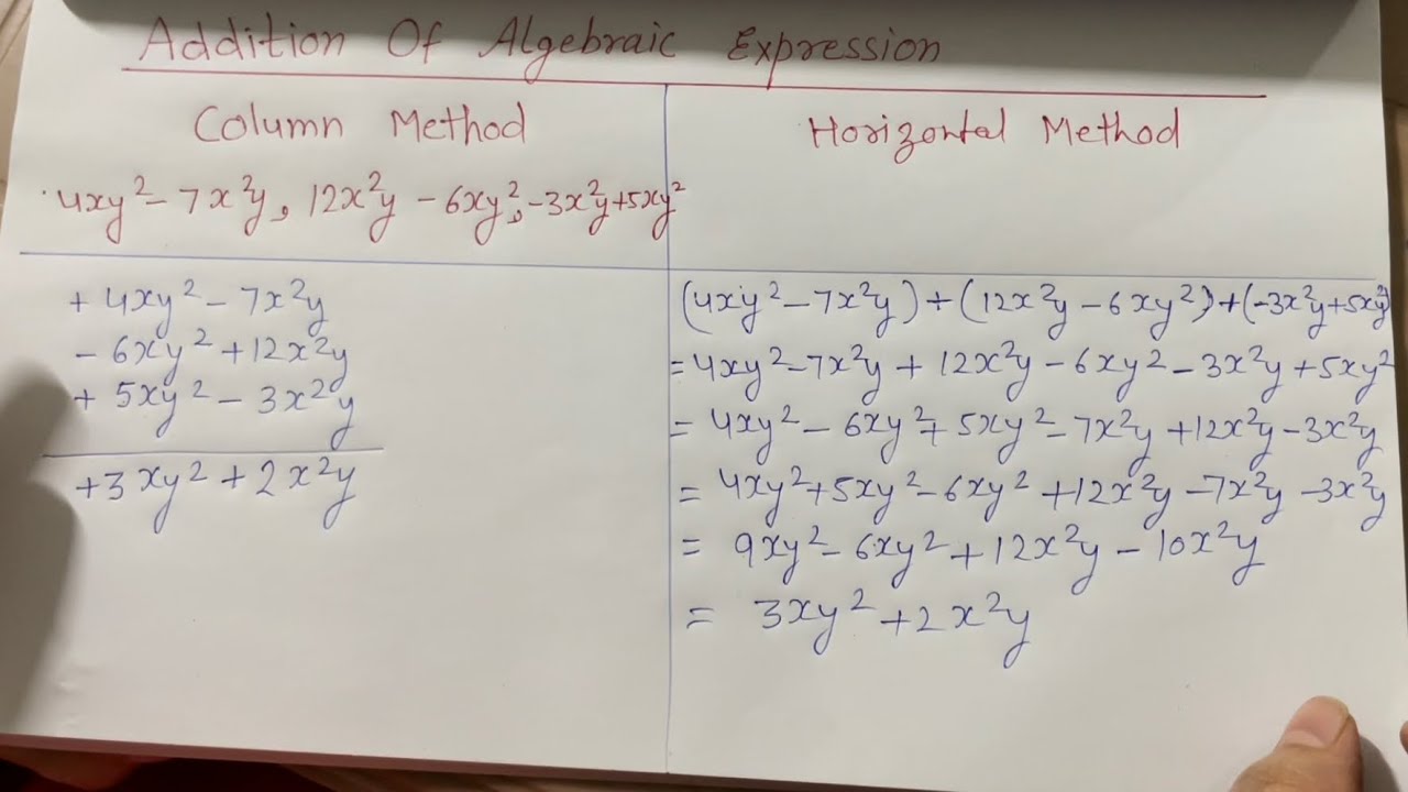 Addition of Algebraic Expressions | Column and Horizontal Method | Study Centre