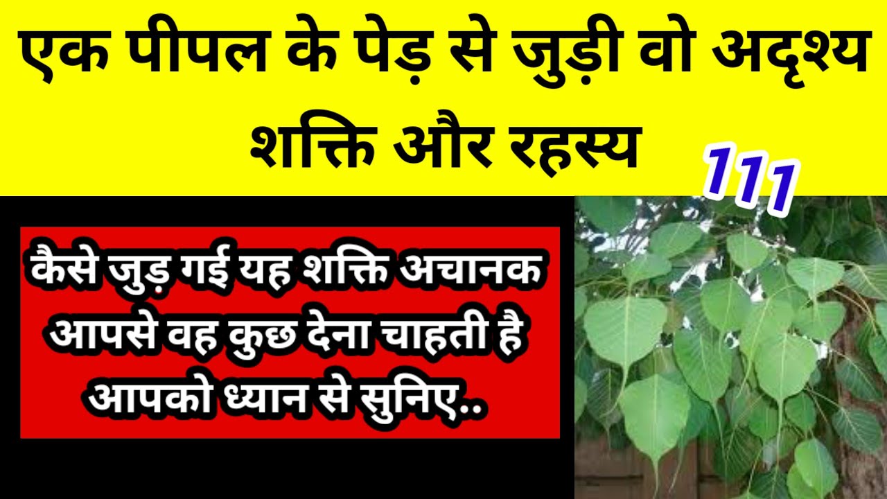 एक पीपल के पेड़ से जुड़ी वो अदृश्य शक्ति और रहस्य l Channeled Message 🧿