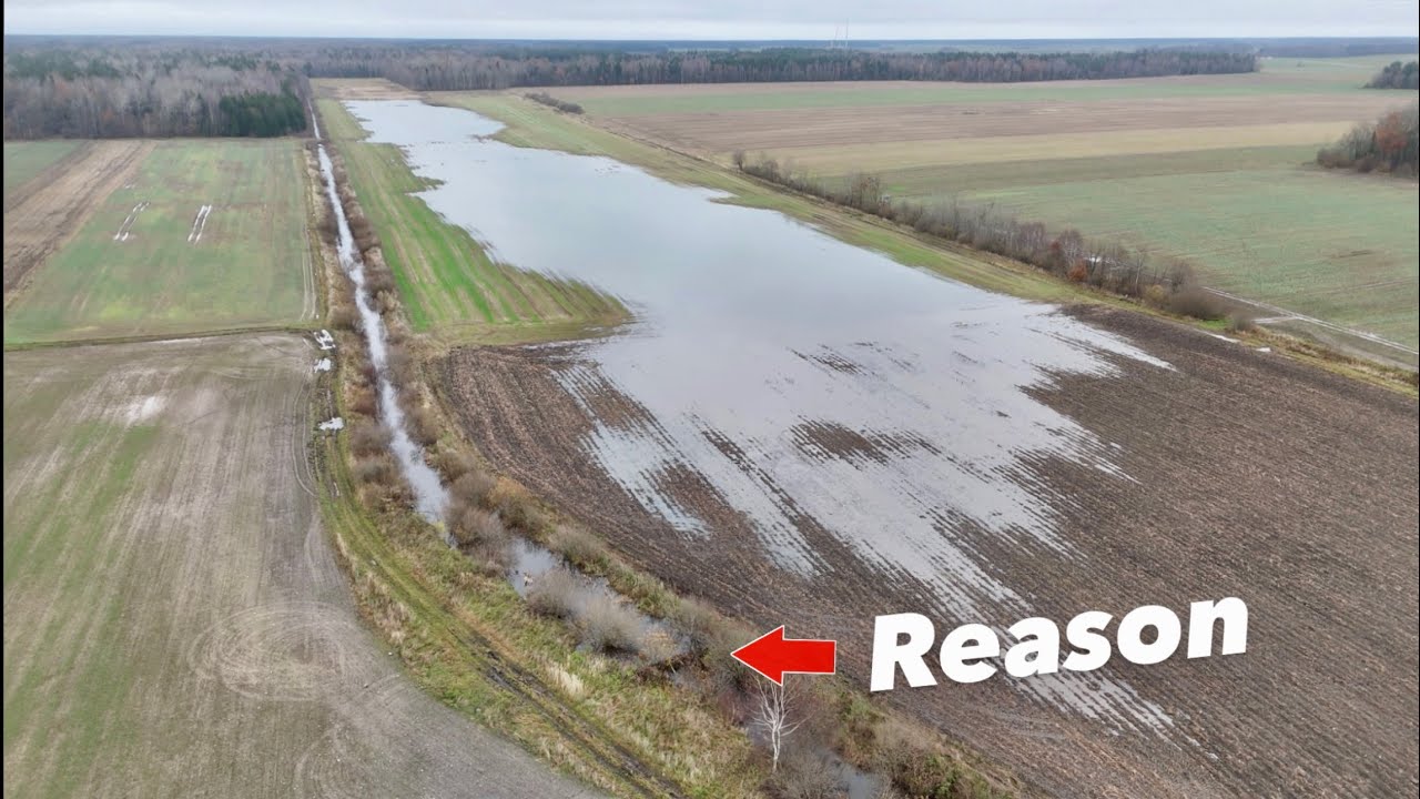The Real Reason This Field Is Flooded... (Beaver Dam Removal)