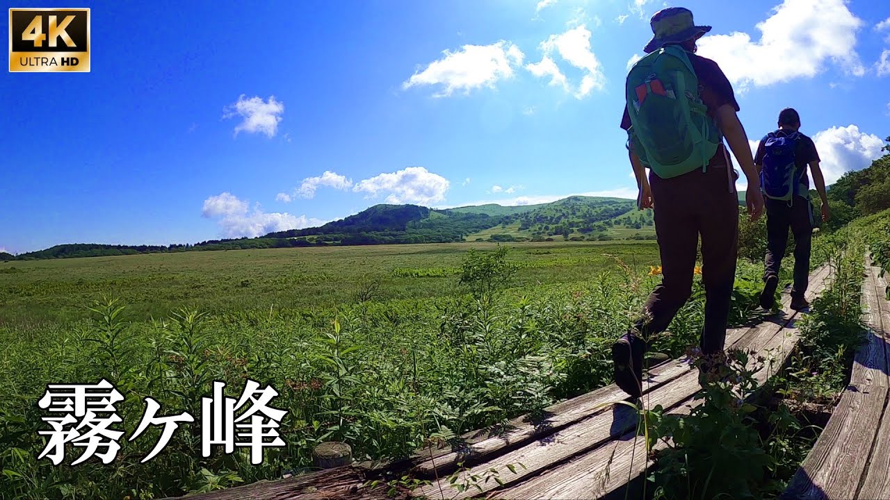 4K映像【夏の霧ヶ峰トレッキング】八島ヶ原湿原から霧ヶ峰 ゆる登山