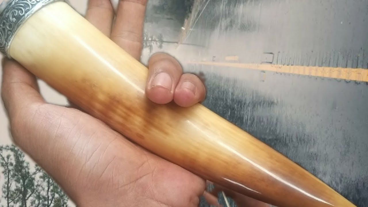 Pipa Rokok gading gajah Vs Geraham gajah || umur RATUSAN TAHUN (review)
