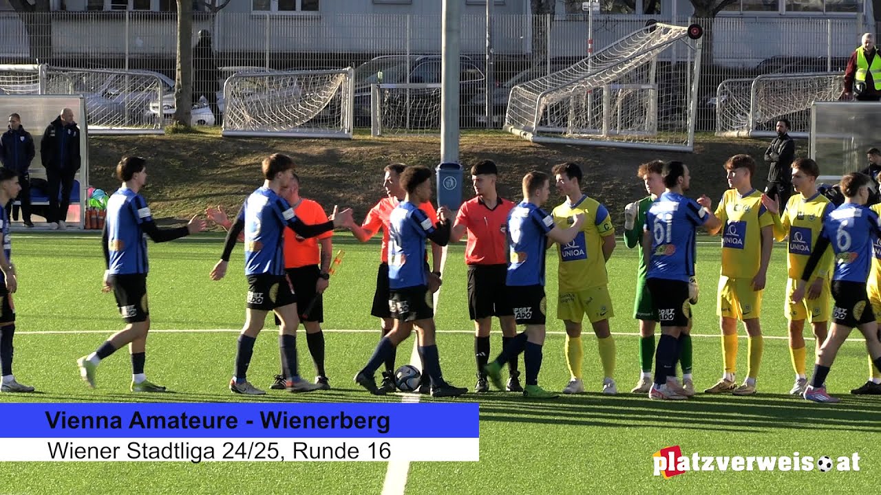 Highlights Vienna Amateure - Wienerberg, Wiener Stadtliga 24/25