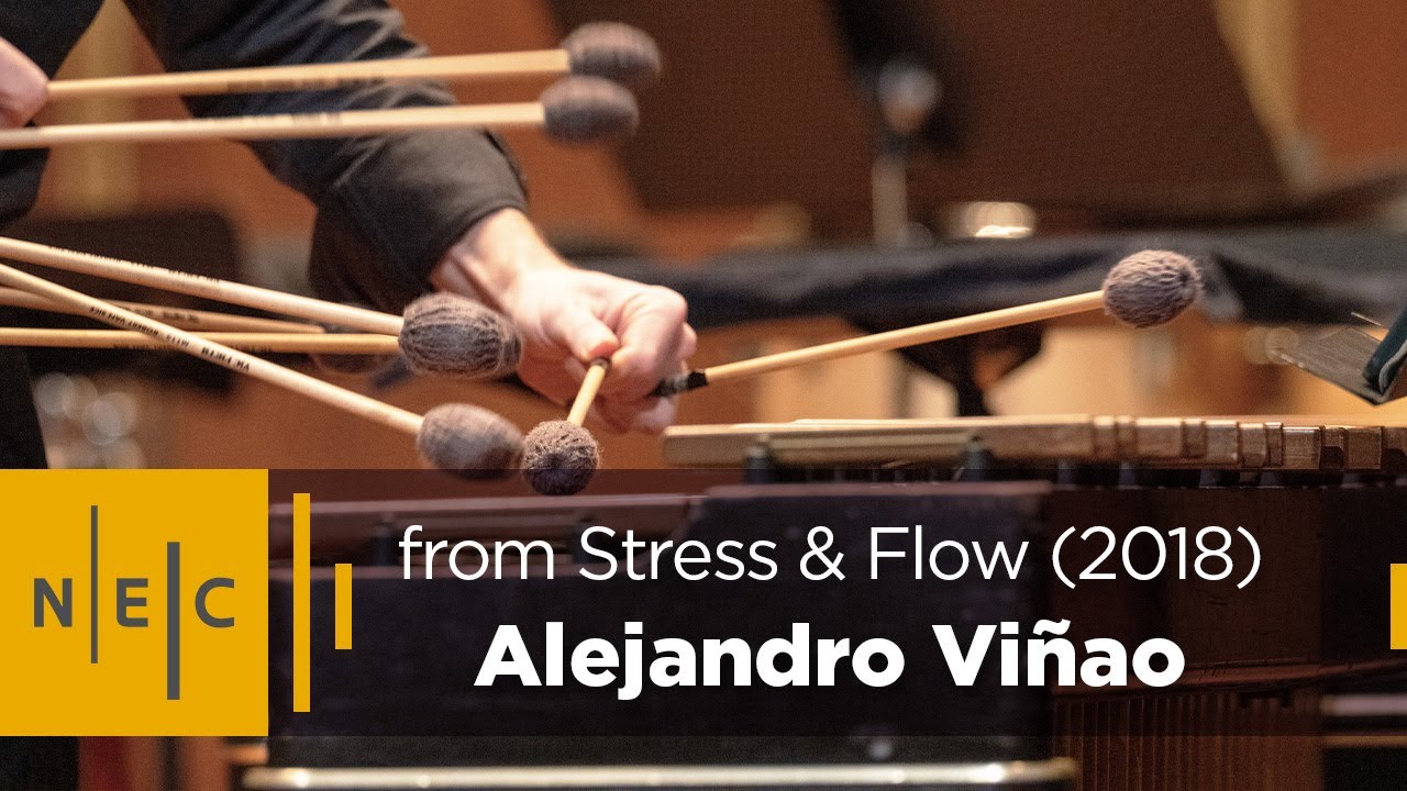 Alejandro Viñao: excerpt from Stress & Flow (2018) | NEC Percussion Ensemble