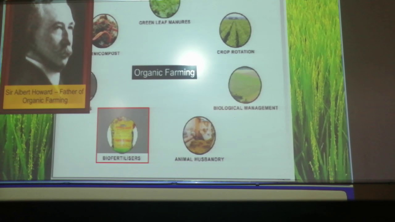 Microbes as biofertilisers