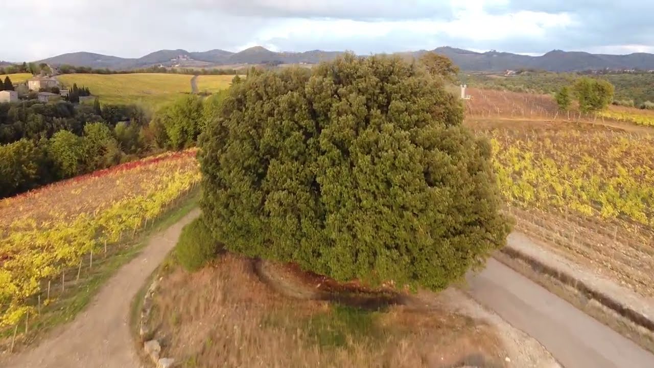 Autunno Adagio nel Chianti