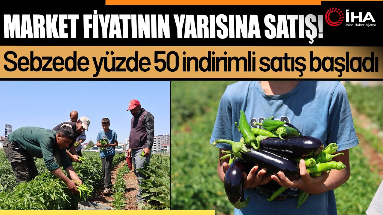 Tarladan Sofraya Sebzede Yüzde 50 İndirimli Satış Başladı