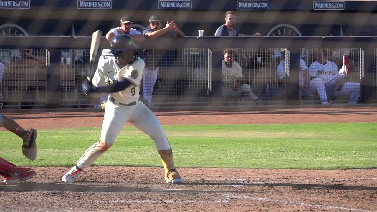 Luis Lara, Milwaukee Brewers OF Prospect (2024 Arizona Fall League)