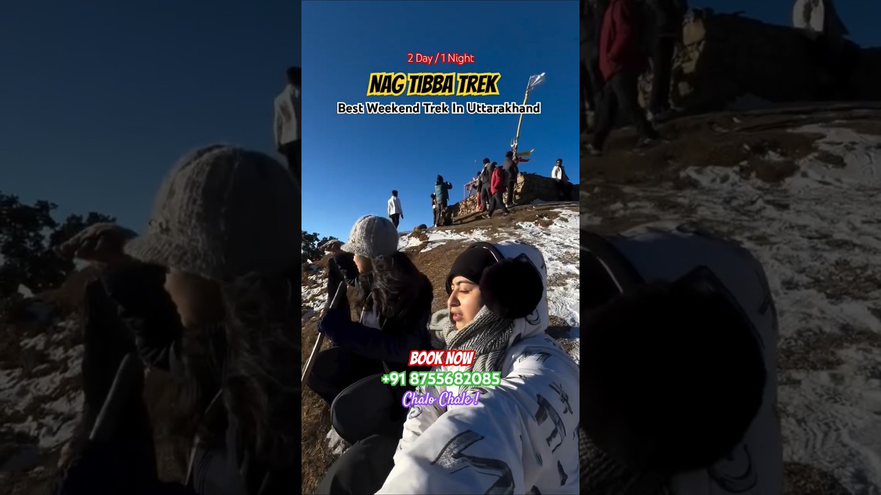Best Trek for beginners The Nag Tibba Trek In Uttarakhand tourism #nagtibba #trekking #peak #shorts