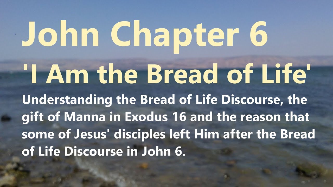 John 6: The Gospel of John, Catholic Bible Study, Fr. Tim Peters