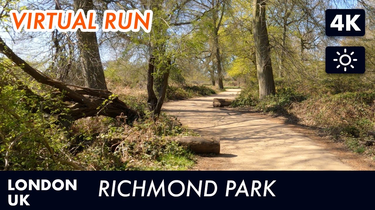 Richmond Park, London, UK Virtual Run | Virtual Running Videos For Treadmill in 4k