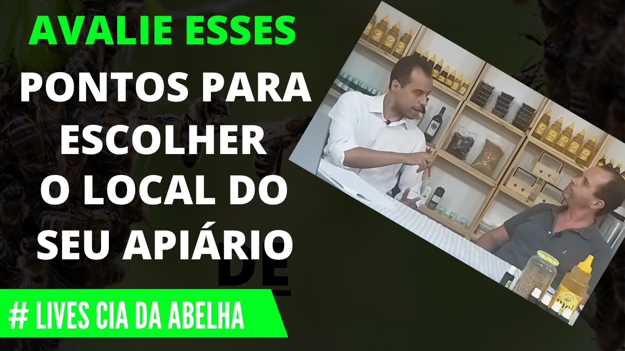 OBSERVE ESSES PONTOS ANTES DE ESCOLHER O LOCAL PARA MONTAR SEU APIÁRIO.