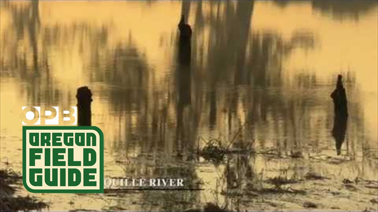 The Coquille River