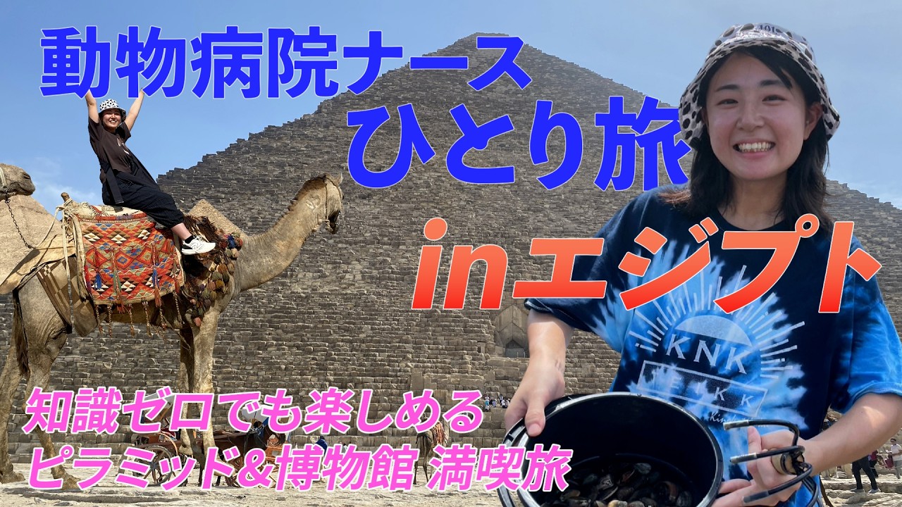 【言い訳】動物病院のナースが行く！知識ゼロでも楽しんだピラミッド＆博物館満喫旅