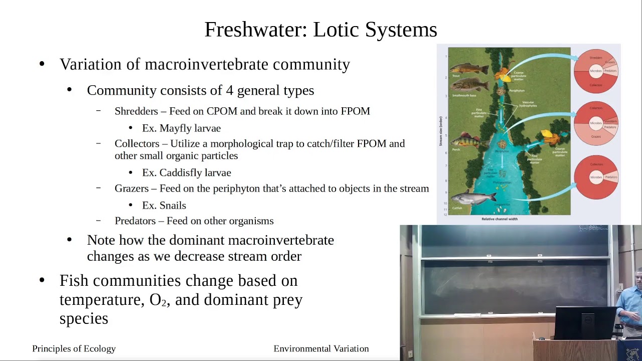 Environmental Variation: Aquatic Systems