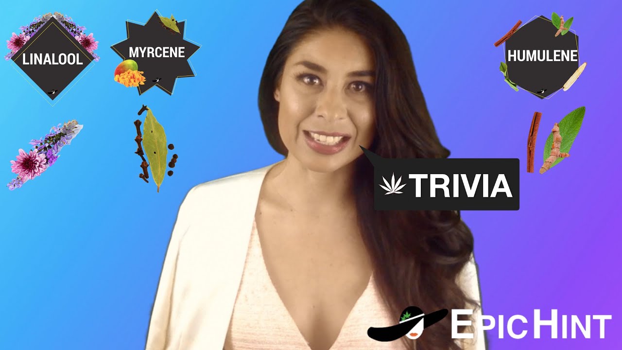 Cannabis Terpene Fundamentals (Budtender Training Trivia) &raquo;