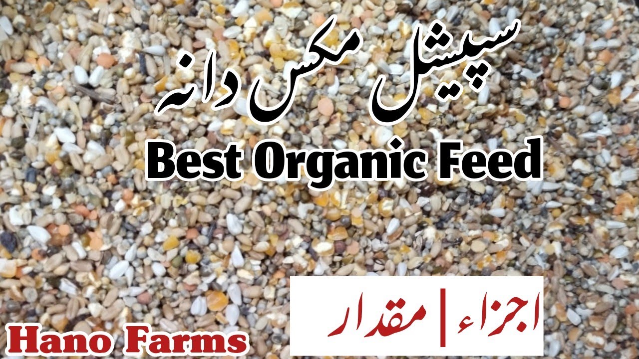 Organic Feed for Chickens | سپیشل مکس دانہ | Hano Farms