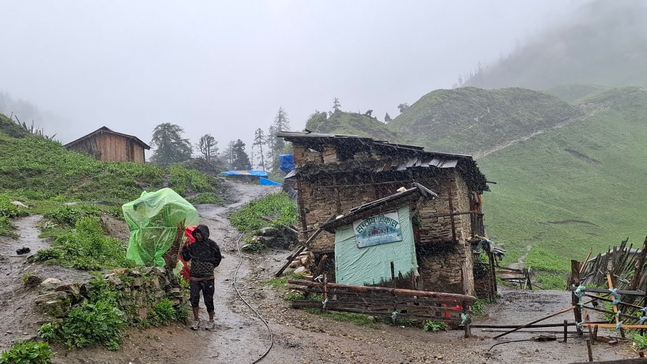 Real Life in a Nepali Mountain Village During Monsoon | Peaceful Rural Life | Organic Food Cooking |