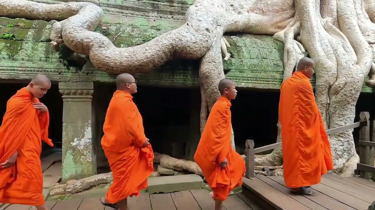 Secrets of Cambodia &ndash; Lost Civilization of Ta Prohm UNESCO World Heritage
