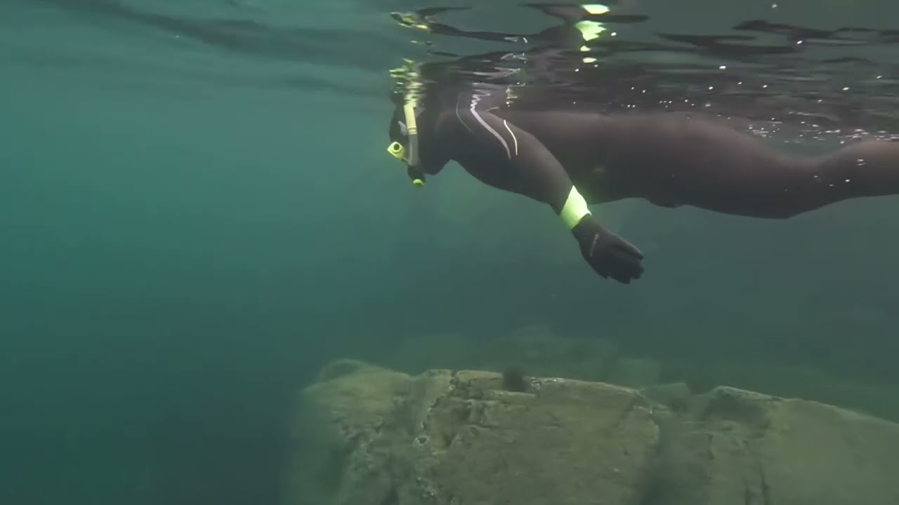 Snorkelling at Shieldaig, Scotland in Great Conditions