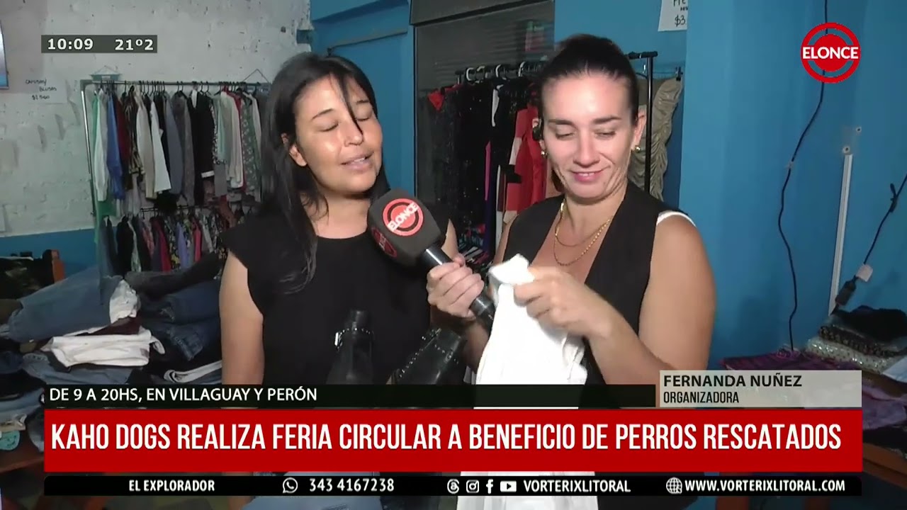 Kaho Dogs realiza feria circular a beneficio de perros rescatados-ELONCE-14/03/2026