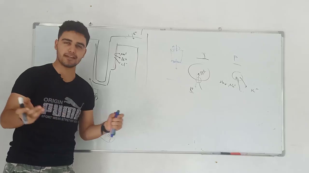 ٢٤ يوليو ٢٠٢٤