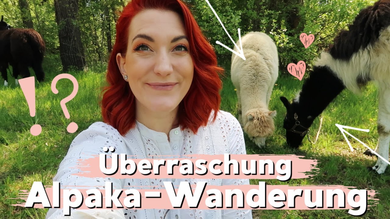 Überraschung: Lama- & Alpakawanderung – Best Day EVER // Weekly Vlog 44 | Sabrina Sterntal