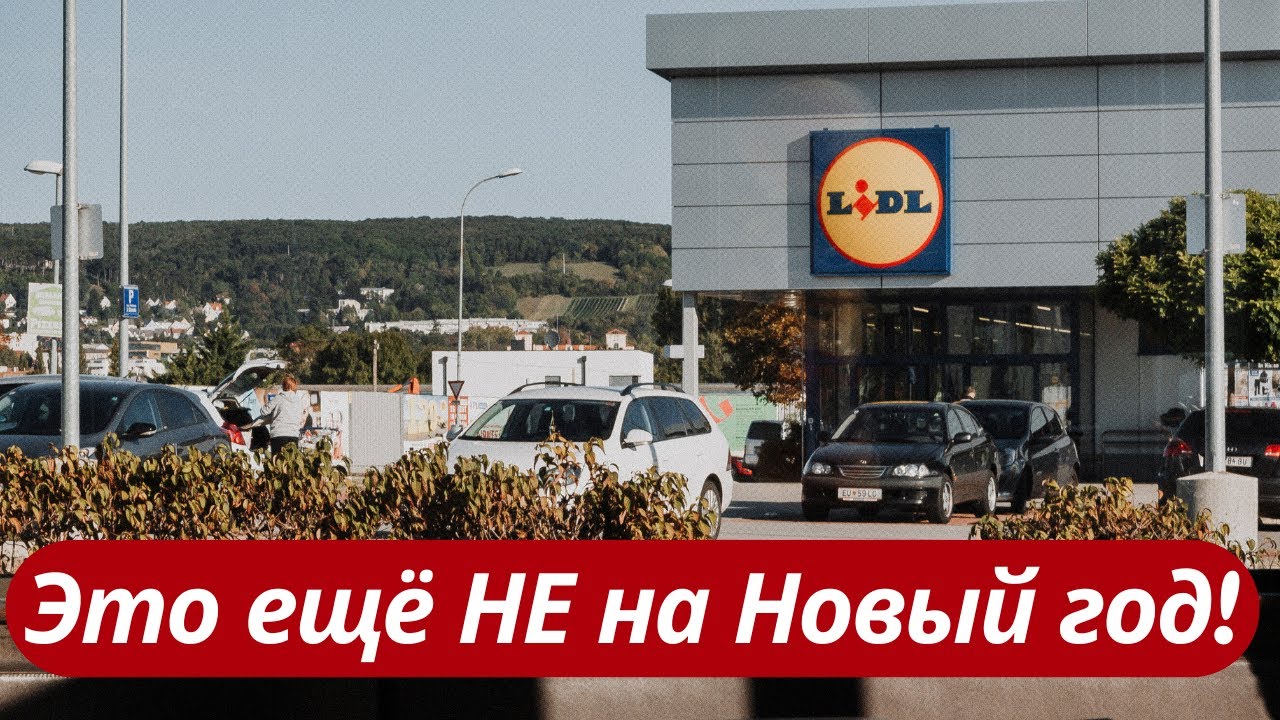 📊Что можно купить в германском LIDL на +100💶?Подробный обзор закупки с ценами и скидками🛒VLOG🔖🇩🇪