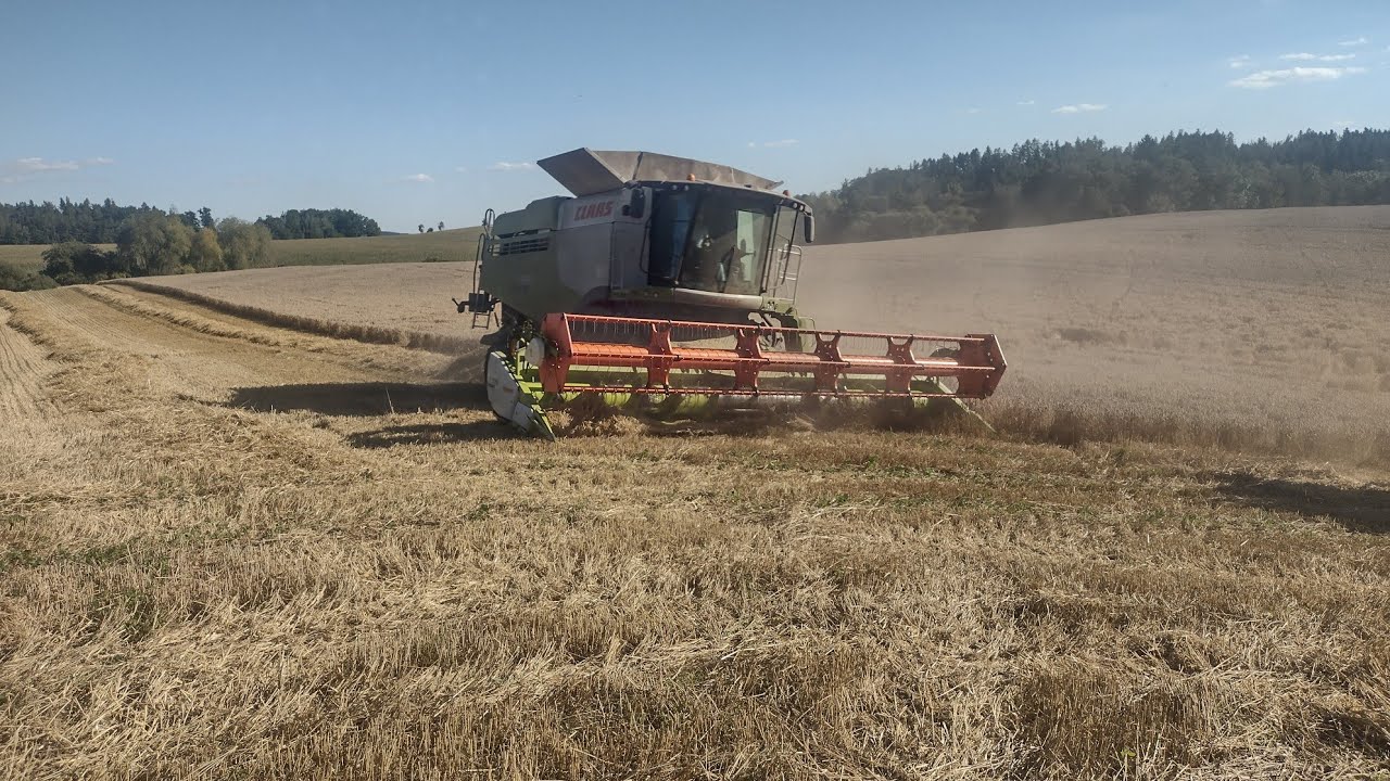 Sklizeň pšenice s Claas Lexion 660 a Claas Lexion 6700