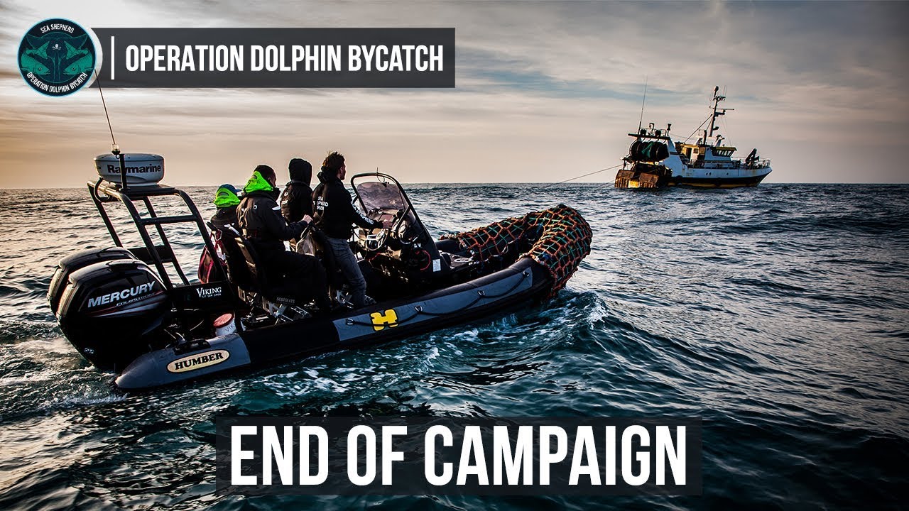 Operation Dolphin ByCatch: End of Campaign