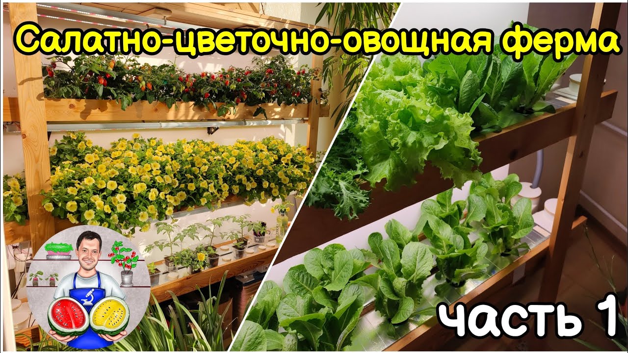 Домашняя салатная (и не только) ферма своими руками.