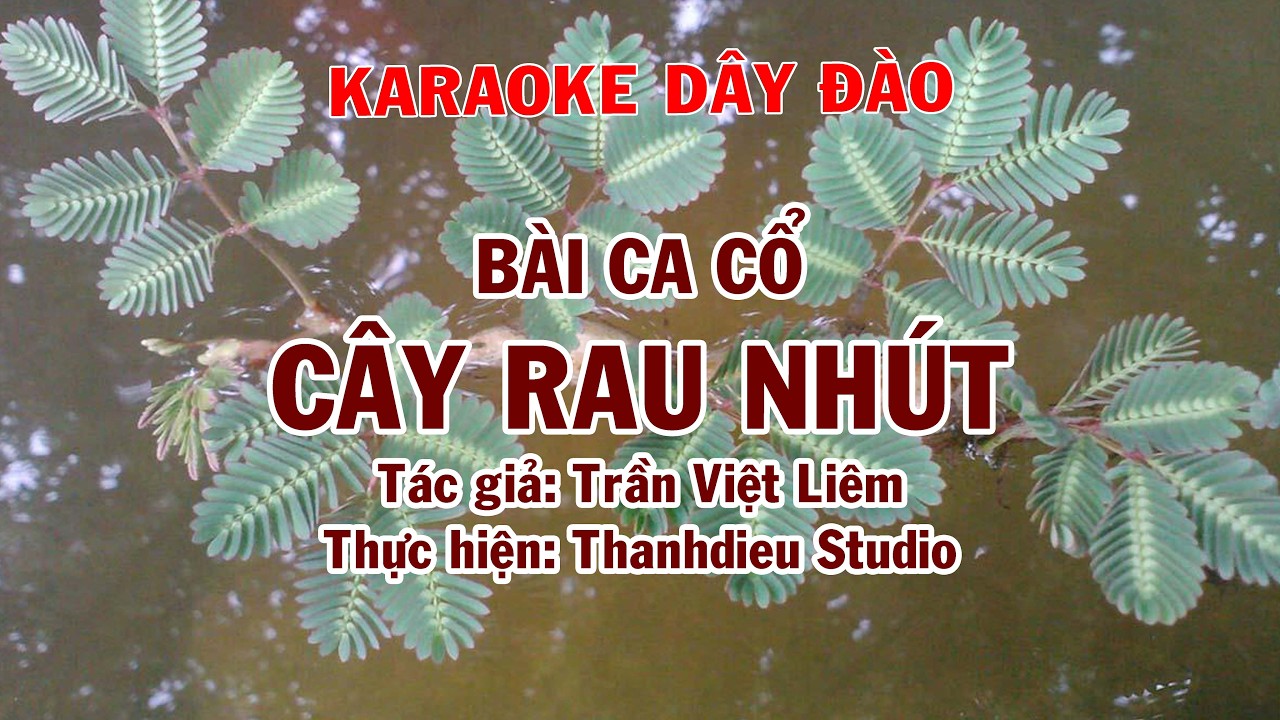 CA CỔ ĐẶC SẮC - CÂY RAU NHÚT - Tác giả: TRẦN VIỆT LIÊM - KARAOKE DÂY ĐÀO