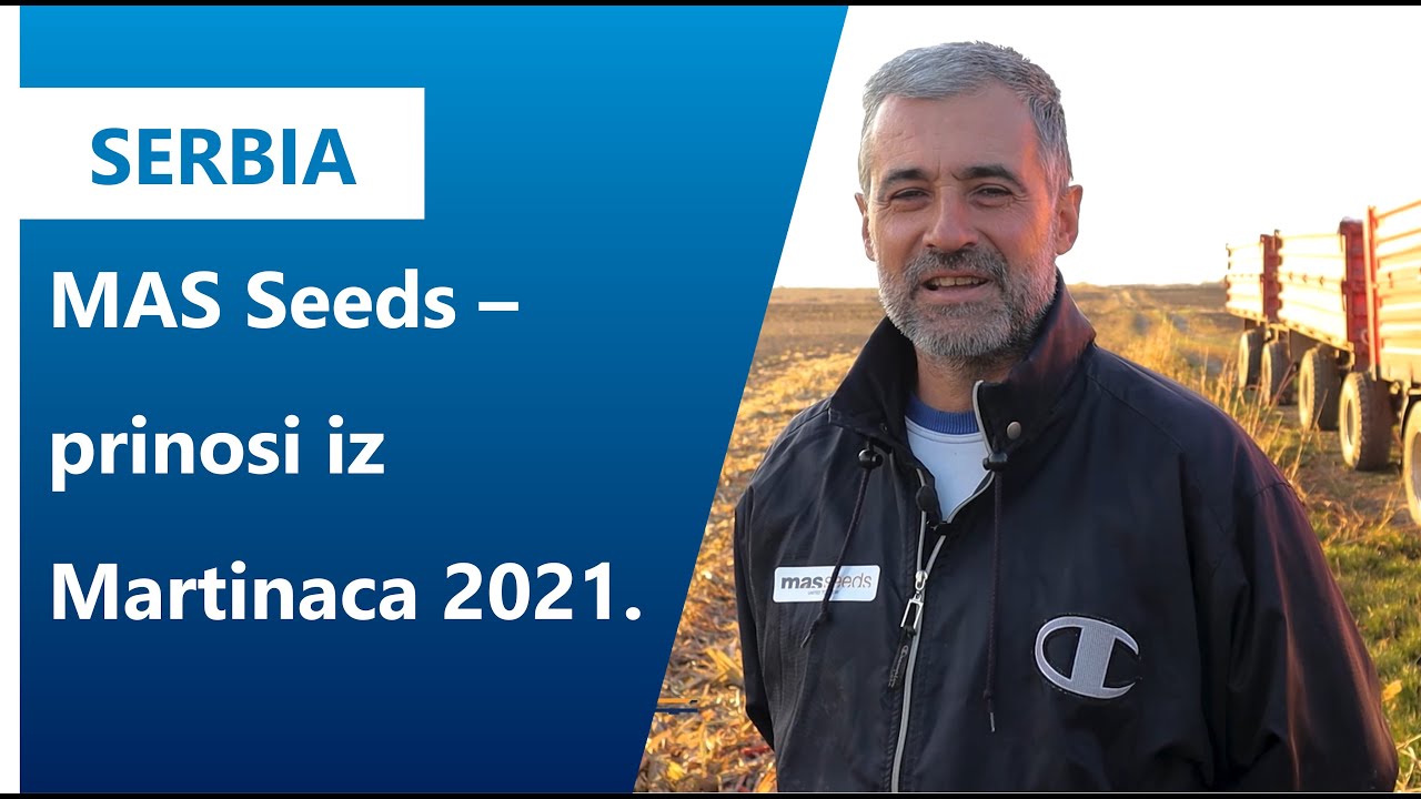 MAS hibridi u Martincima 2021 I Axereal Serbia