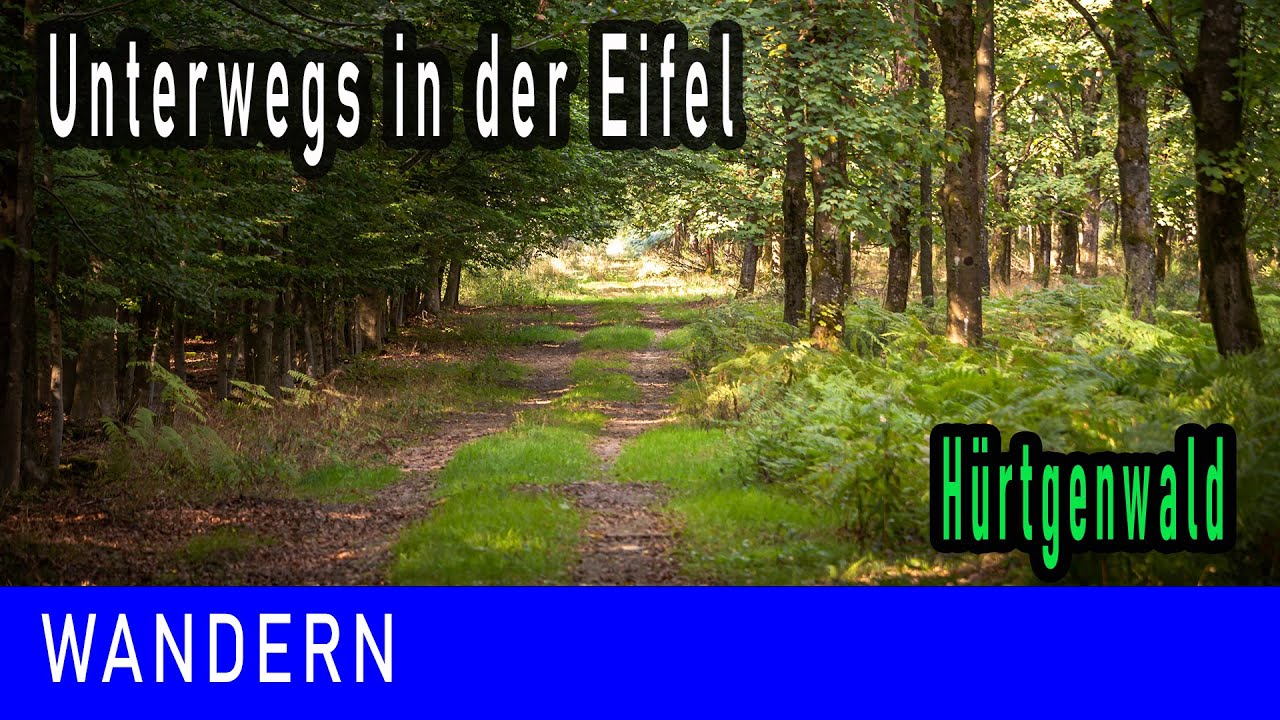 Wandern im Hürtgenwald - mit tierischer Begleitung
