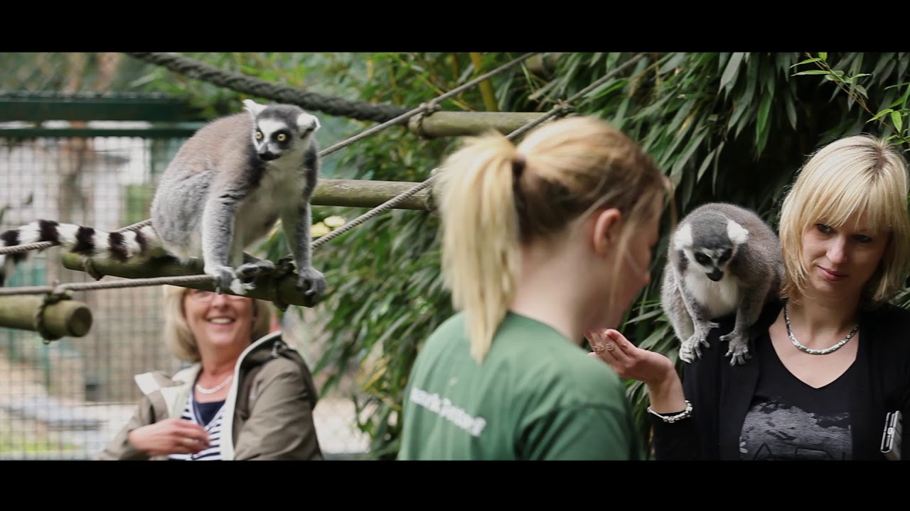 tierpark gettorf imagefilm